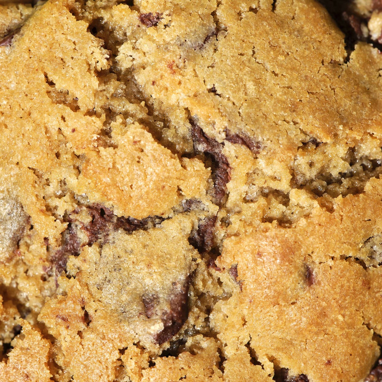 Worthy Cause 75g Choc Chip cookies — pack detail